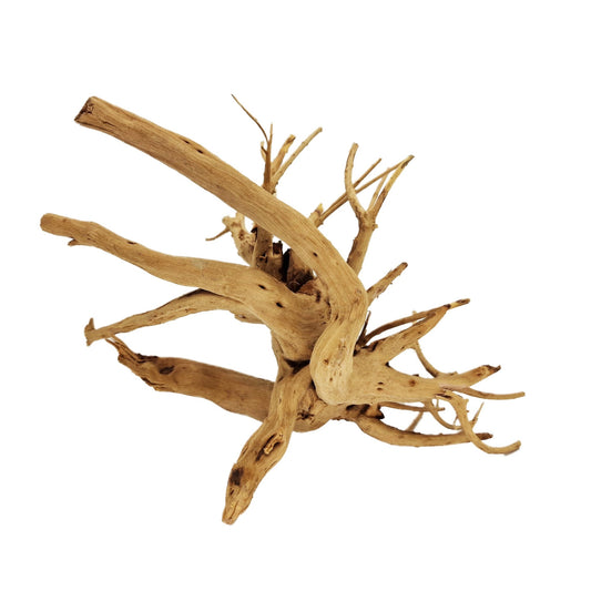 Hand Selected Spider Wood Azalea Root - Medium - Castle Dawn Aquatics