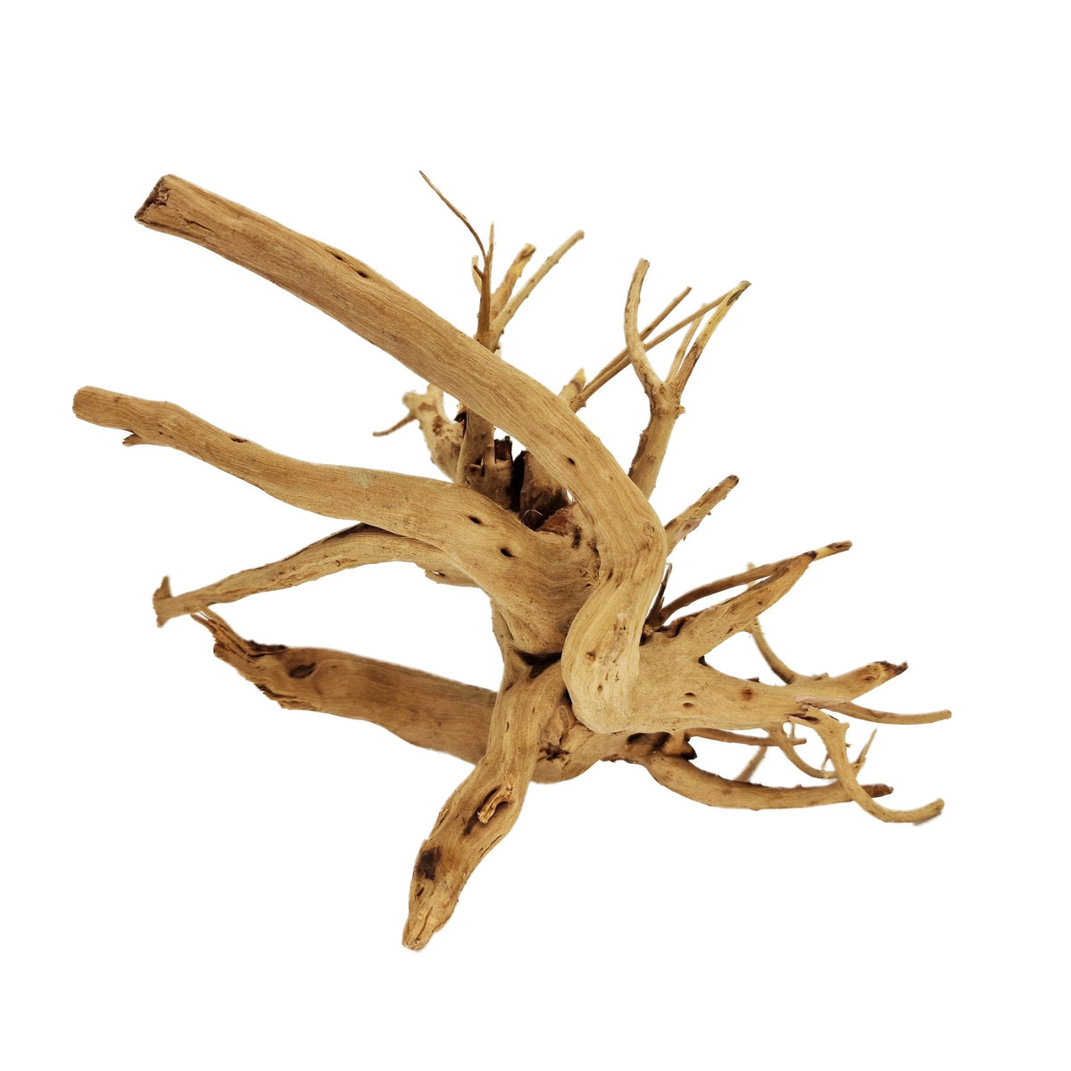 WYSIWYG Hardscape- Hand Selected Spider Wood Azalea Root - Medium ...