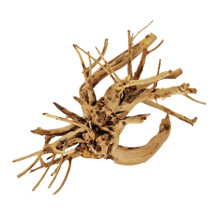 Hand Selected Spider Wood Azalea Root - Medium - Castle Dawn Aquatics