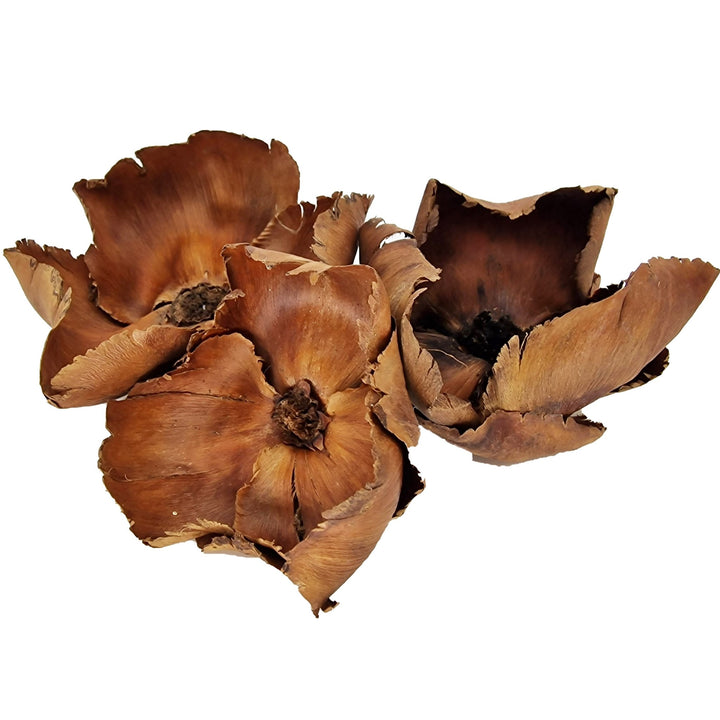 Large Coco Palm Flowers (3 Pack) - Castle Dawn Aquatics