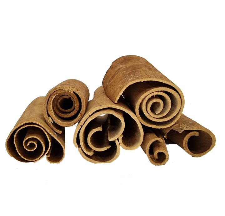 Large Raw Cinnamon Sapwood Curl Caves - Castle Dawn Aquatics