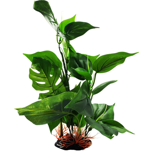 Large Silk Anubias And Monstera Plant - Castle Dawn Aquatics