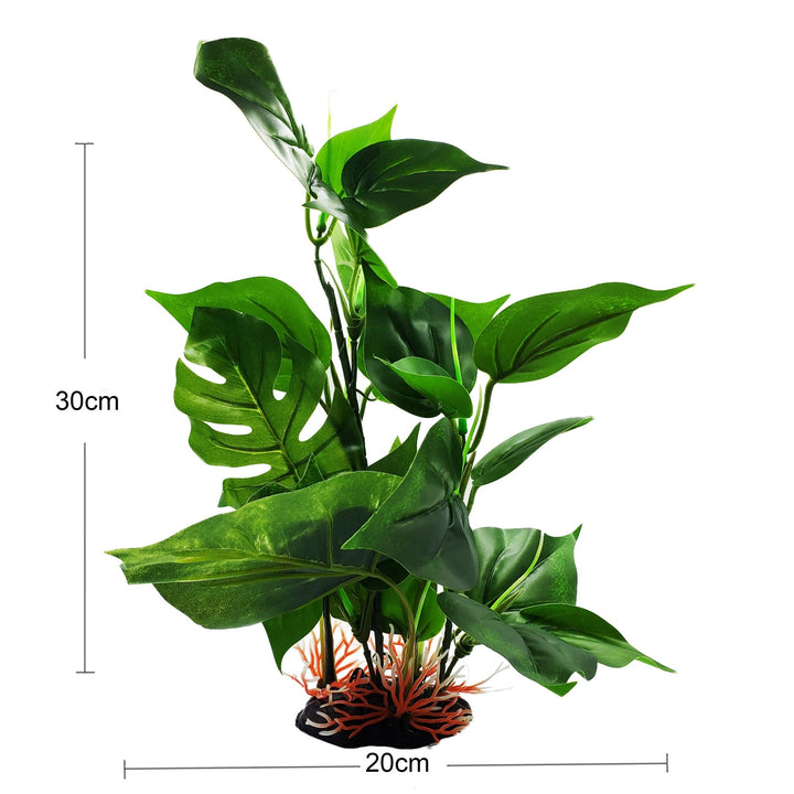 Large Silk Anubias And Monstera Plant - Castle Dawn Aquatics