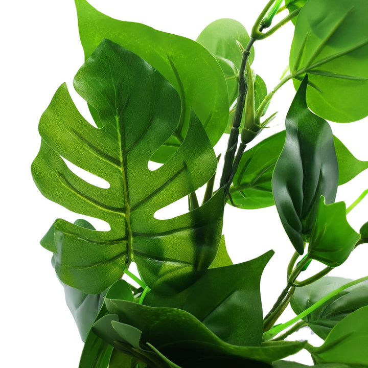 Large Silk Anubias And Monstera Plant - Castle Dawn Aquatics