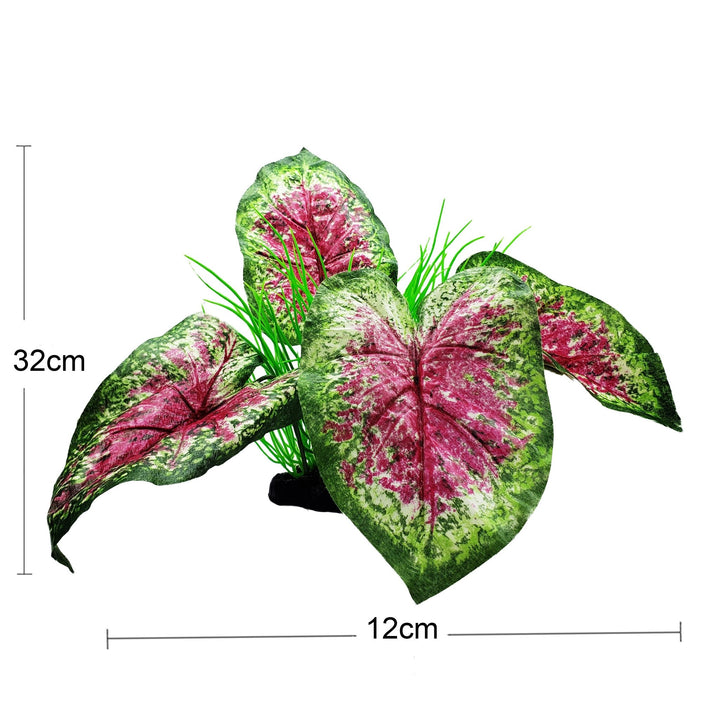 Large Silk Caladium Green Pink Plant - Castle Dawn Aquatics