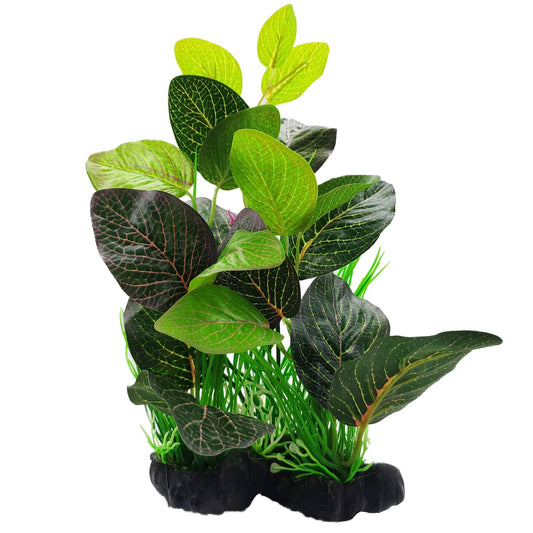 Large Silk Fittonia Green Red Plant - Castle Dawn Aquatics