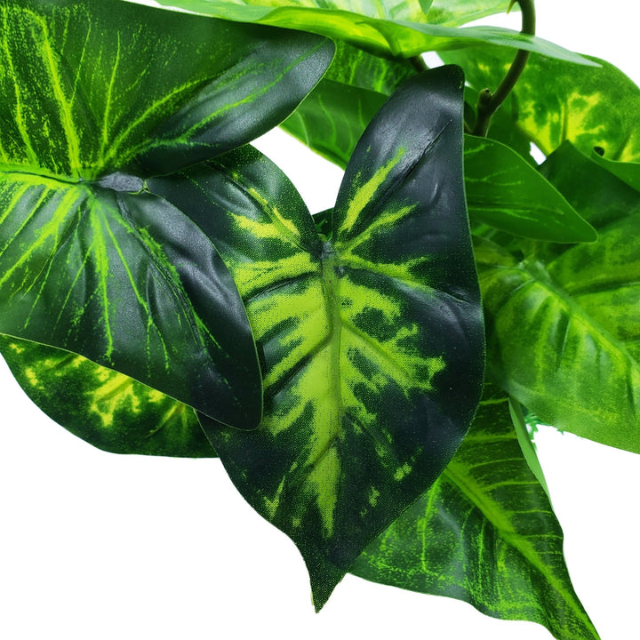 Medium Silk Green & Yellow Caladium Plant - Castle Dawn Aquatics