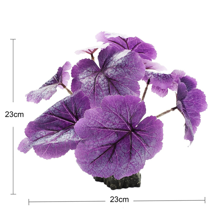 Medium Silk Purple Leaf Heuchera Plant - Castle Dawn Aquatics