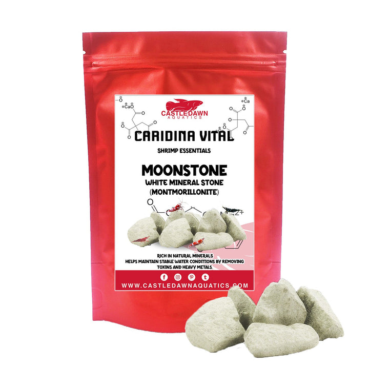 MOONSTONE White Mineral Stone - Genuine Japanese Montmorillonite 300 grams - Castle Dawn Aquatics