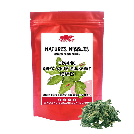 Natures Nibbles Shrimp Snack Dried White Mulberry leaves 100g - Castle Dawn Aquatics