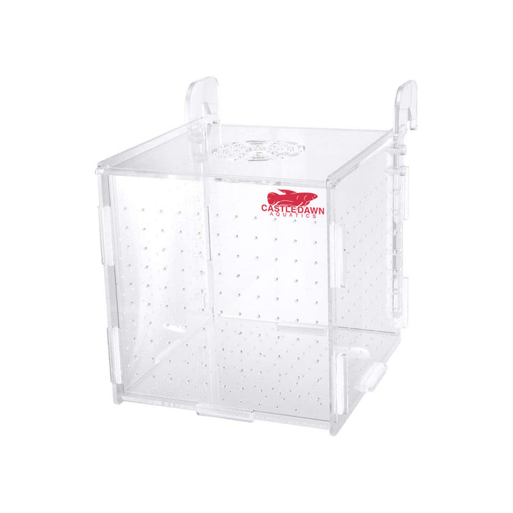 Single Multifunctional Acrylic Hatchery Beeding Box - Castle Dawn Aquatics