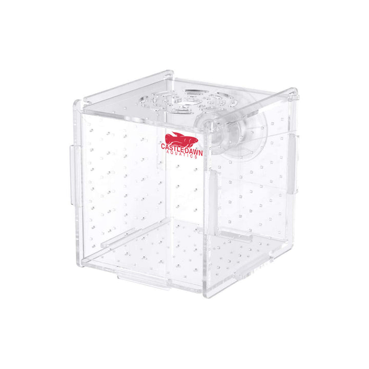 Single Multifunctional Acrylic Hatchery Beeding Box - Castle Dawn Aquatics