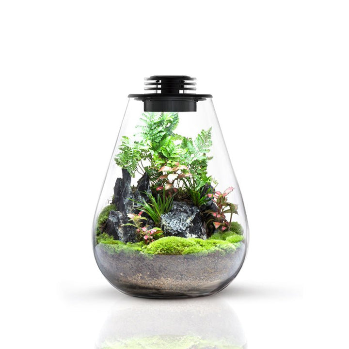 Tear Drop Terrarium (SD-175 / SD-200) With LED - Castle Dawn Aquatics