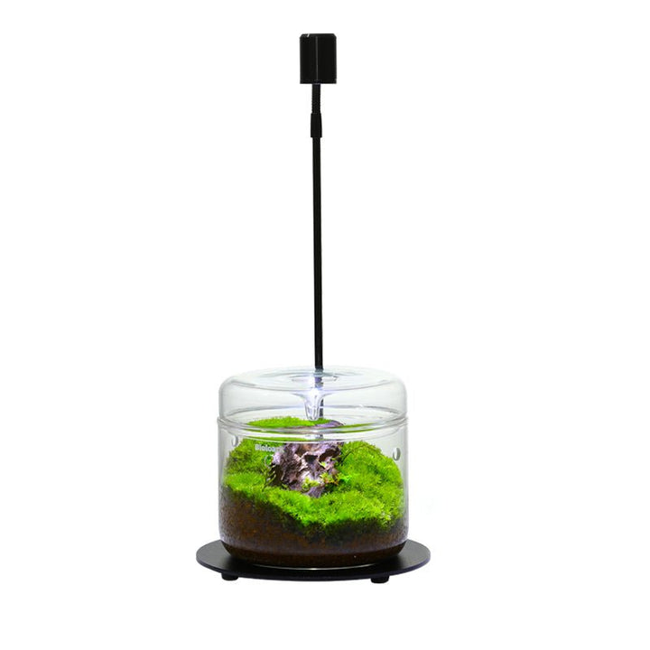 Terrarium Paludarium Wabi Kusa LED USB lamp - Castle Dawn Aquatics